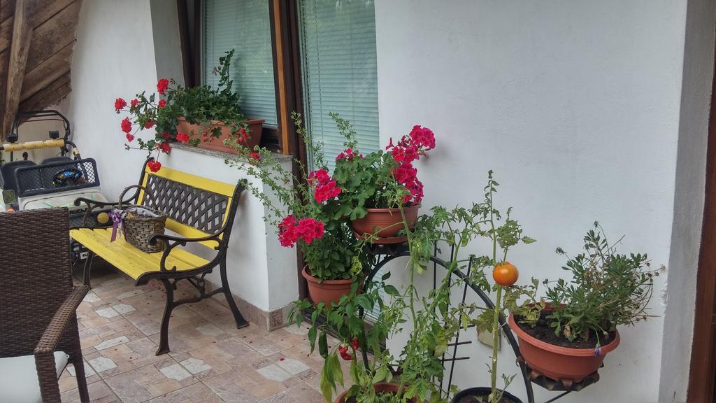 Darja Guesthouse Dob Eksteriør bilde