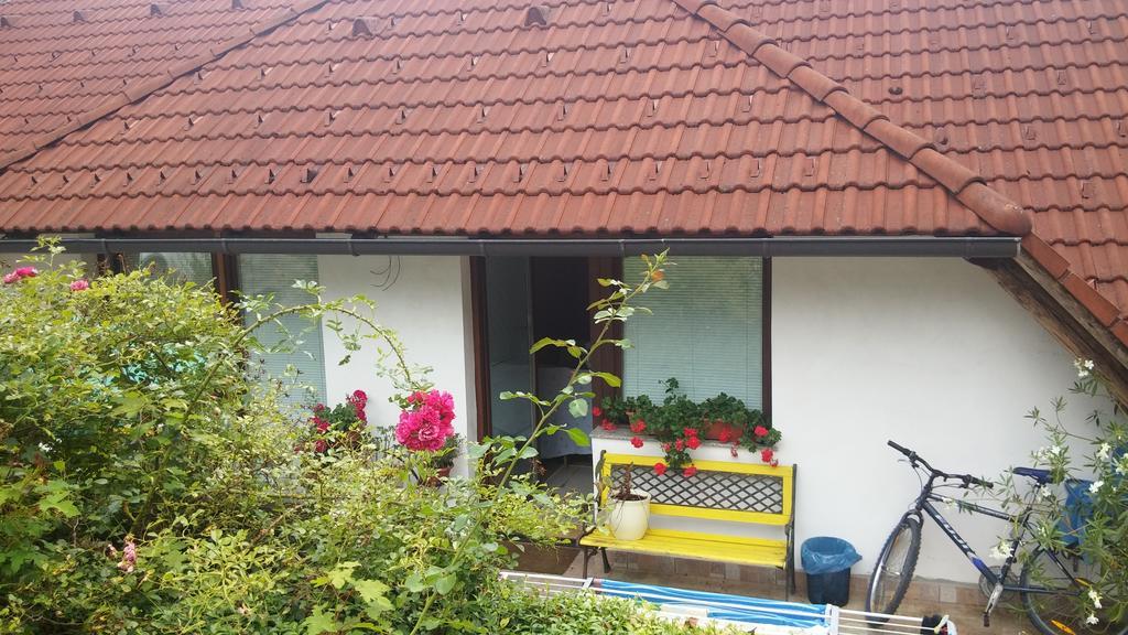Darja Guesthouse Dob Eksteriør bilde